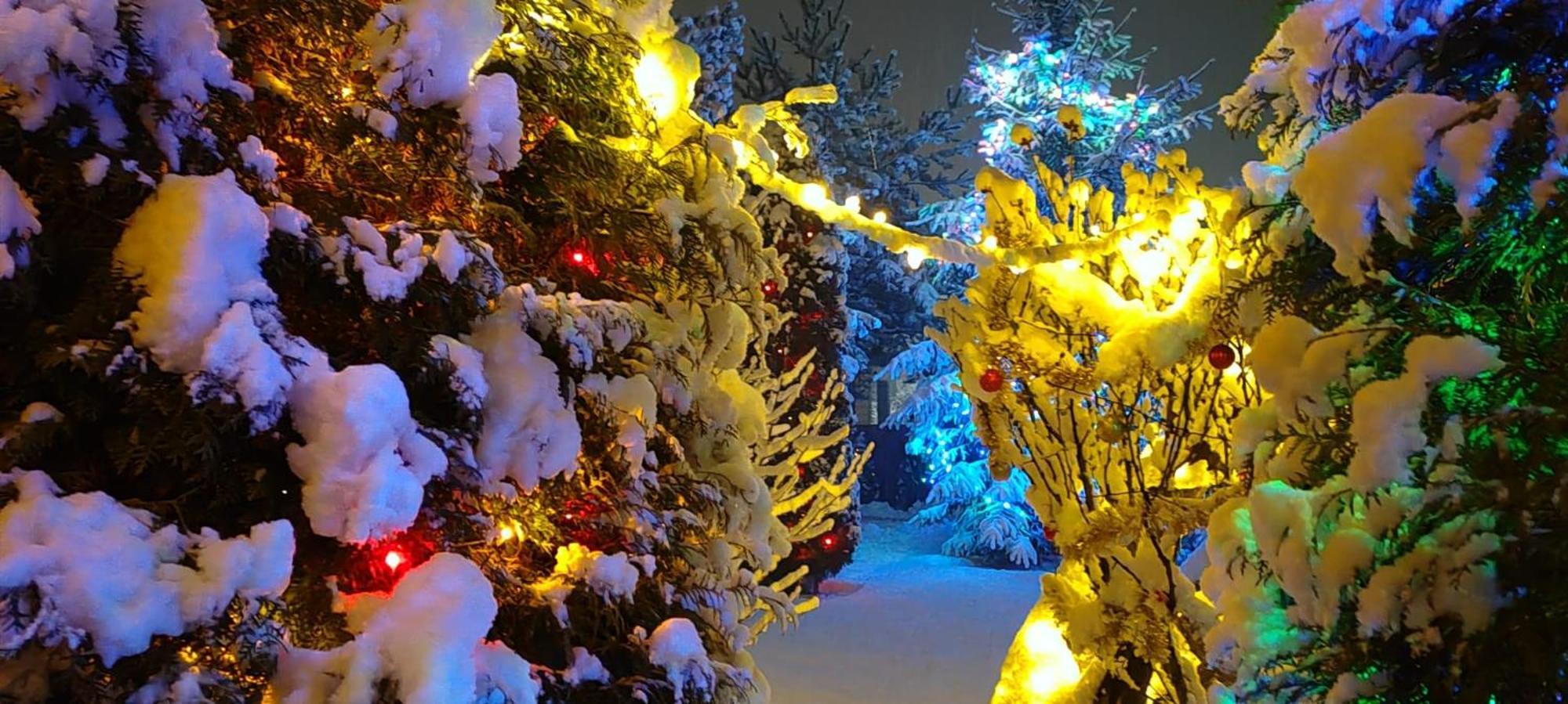 Eden Garden Sovata Βίλα Εξωτερικό φωτογραφία