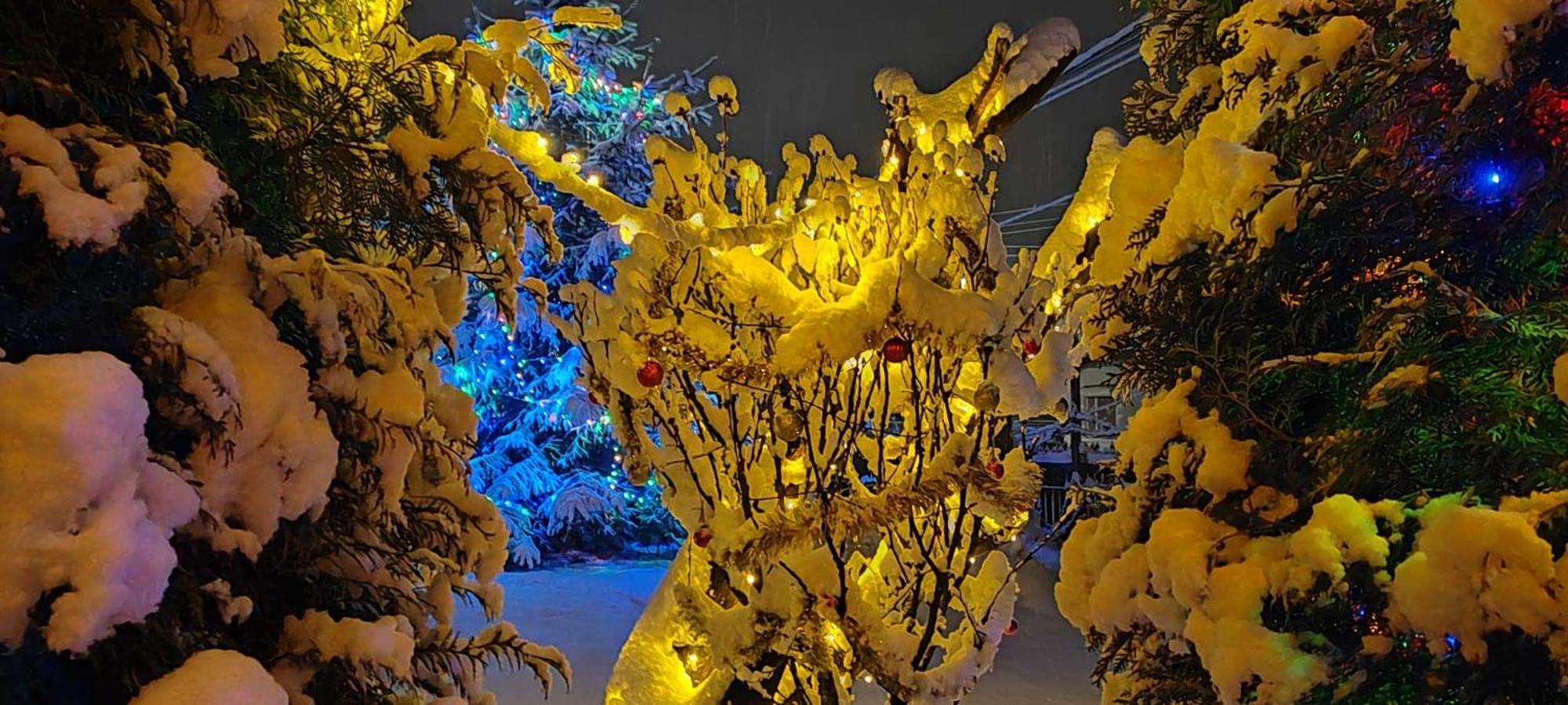 Eden Garden Sovata Βίλα Εξωτερικό φωτογραφία
