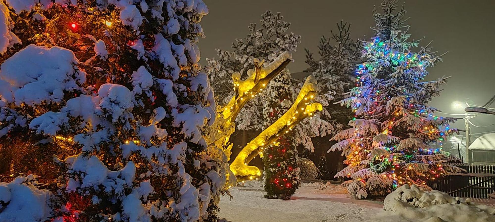 Eden Garden Sovata Βίλα Εξωτερικό φωτογραφία