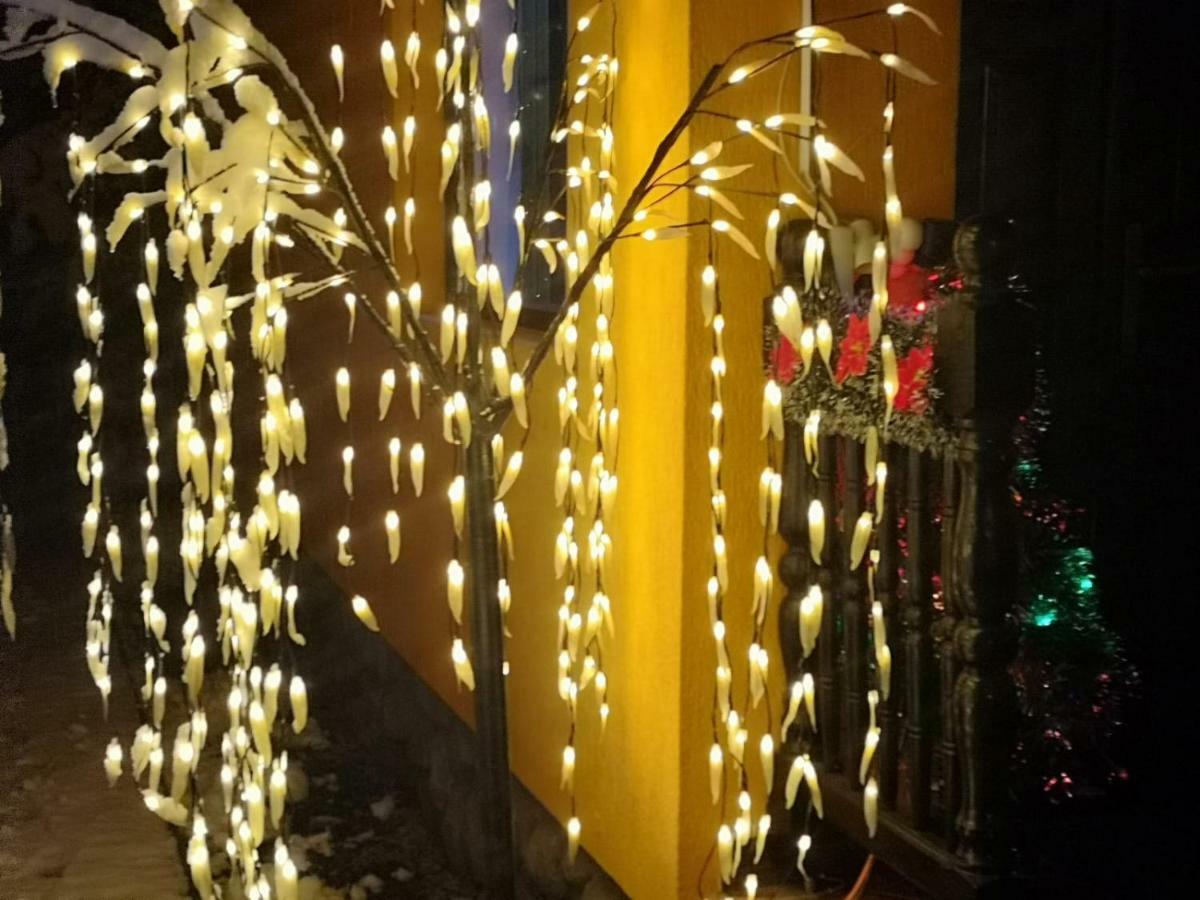 Eden Garden Sovata Βίλα Εξωτερικό φωτογραφία