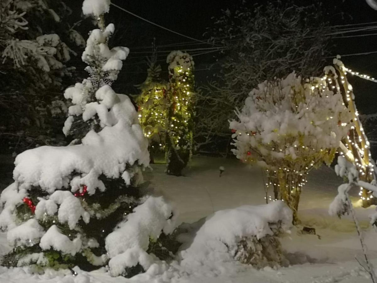 Eden Garden Sovata Βίλα Εξωτερικό φωτογραφία