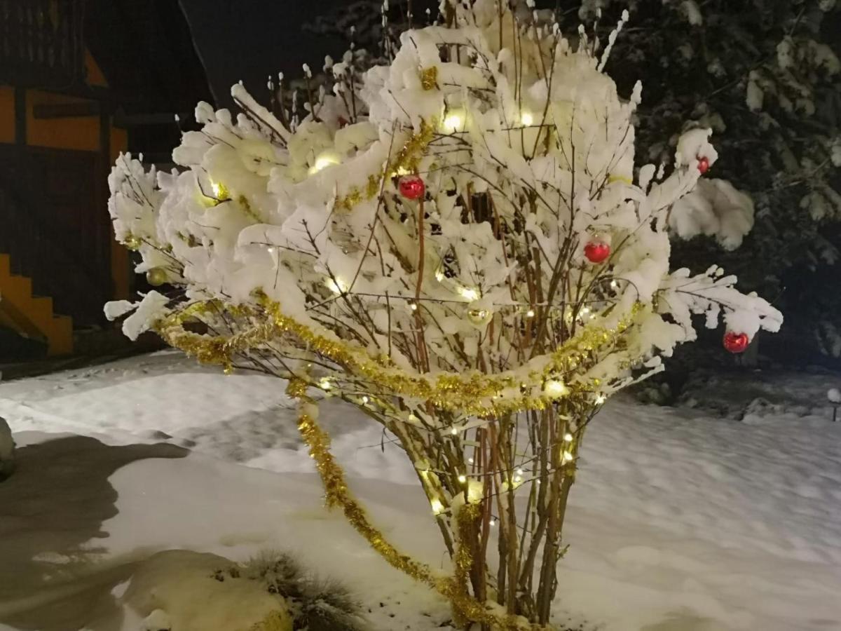 Eden Garden Sovata Βίλα Εξωτερικό φωτογραφία