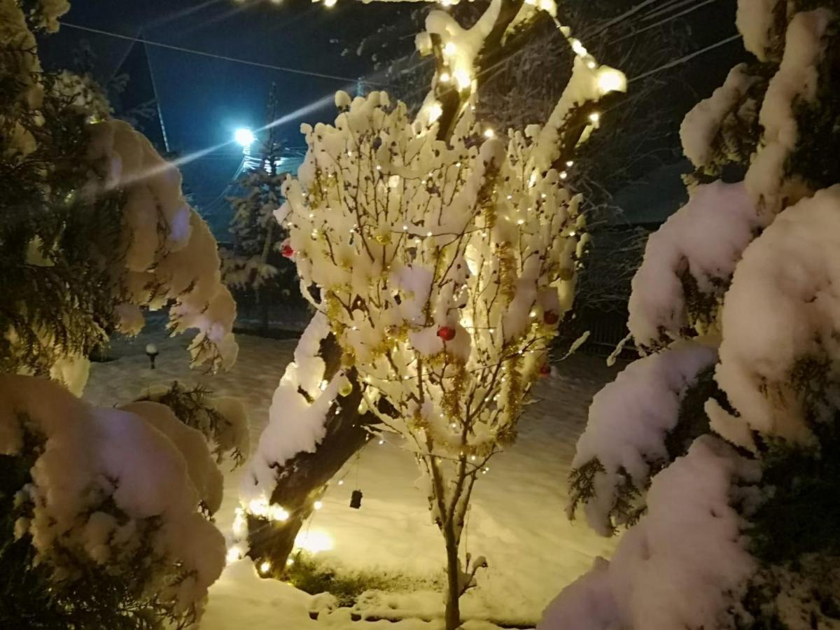 Eden Garden Sovata Βίλα Εξωτερικό φωτογραφία